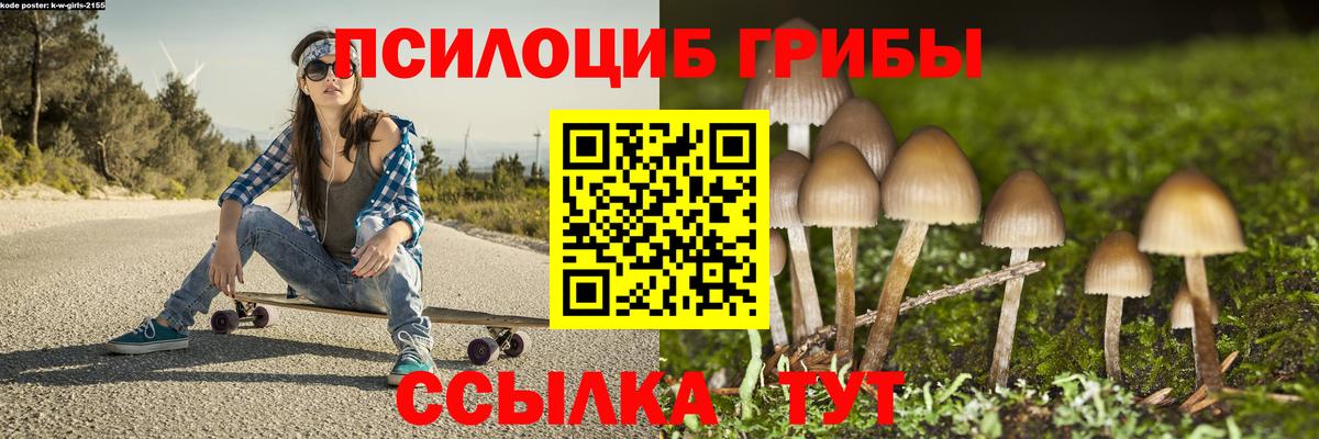 Галлюциногенные грибы прущие грибы Кстово