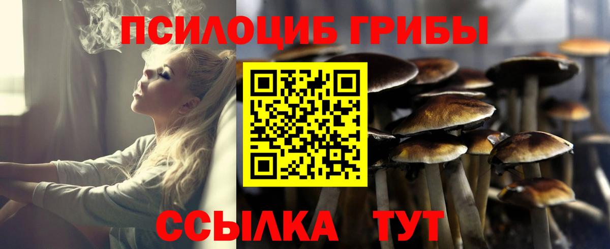 Кстово  Галлюциногенные грибы ЛСД  Вход с VPN 